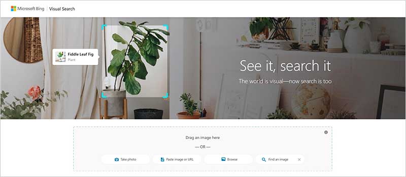 Bing Reverse Image Search