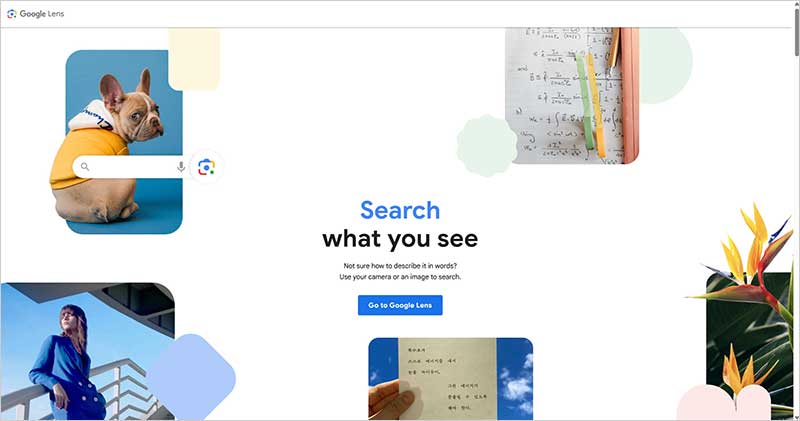 Google Image Search