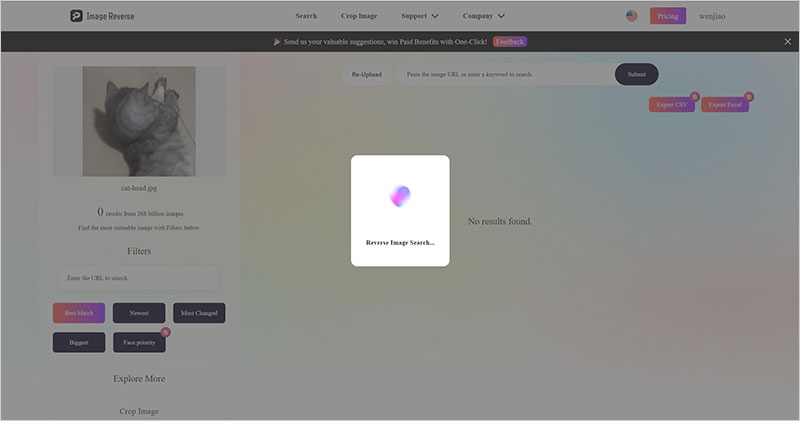 Reverse image search on iPhone