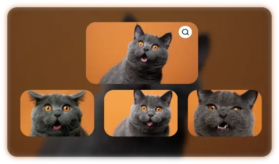 Similar images