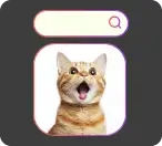 Image Reverse Search